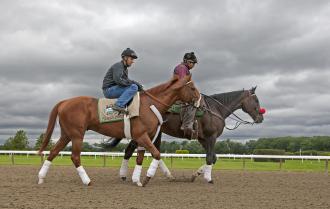 I'll Have Another and Lava Man at Belmont Park